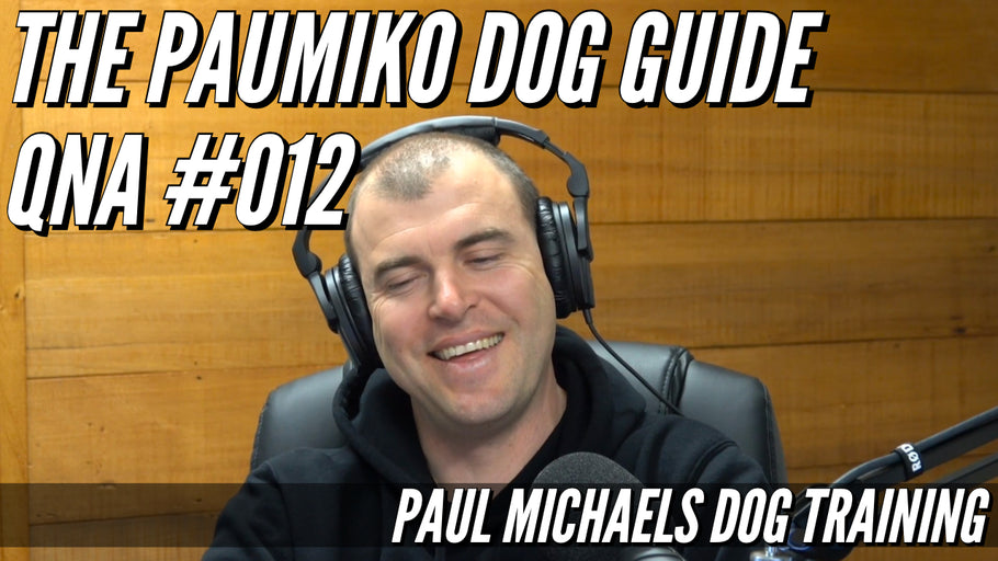 Paumiko Dog Training - QnA #012