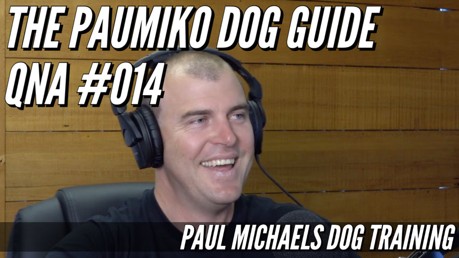 Paumiko Dog Training - QnA #014