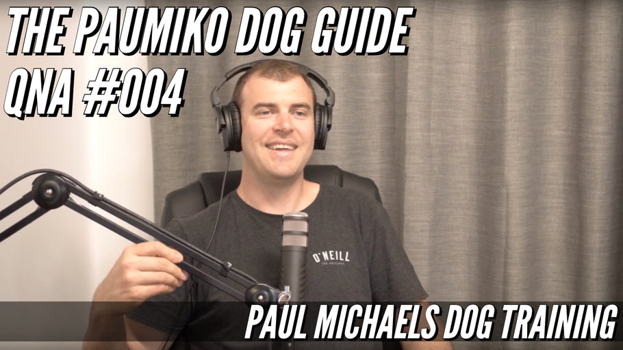 Paumiko Dog Training - QnA #004