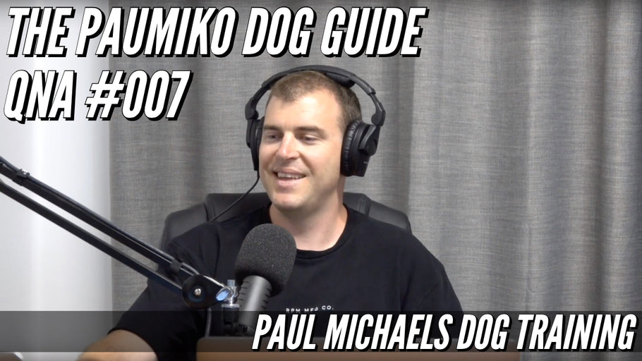 Paumiko Dog Training - QnA #007