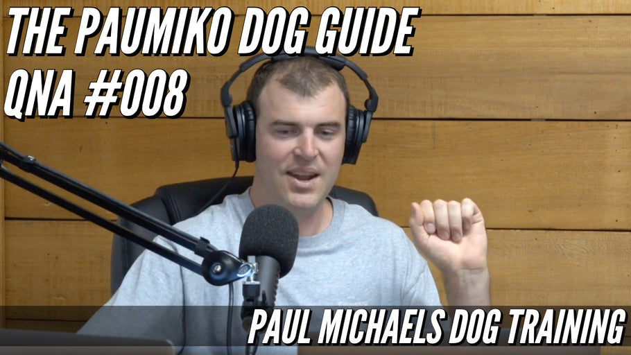 Paumiko Dog Training - QnA #008