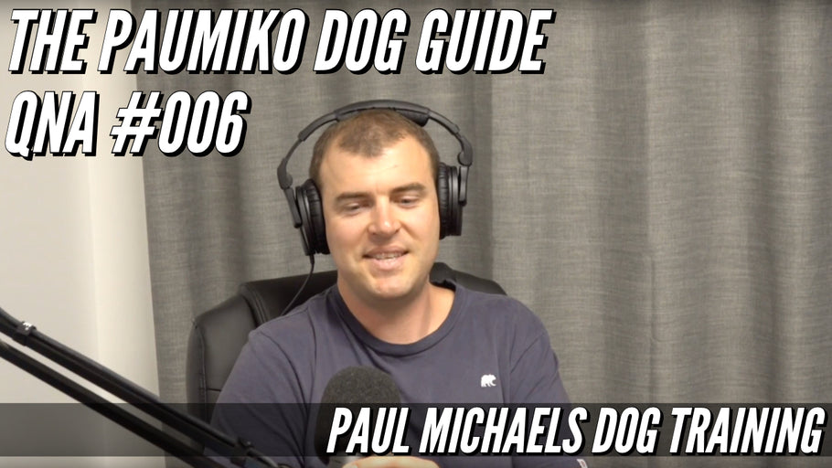 Paumiko Dog Training - QnA #006