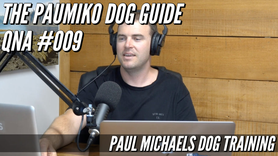 Paumiko Dog Training QnA - #009