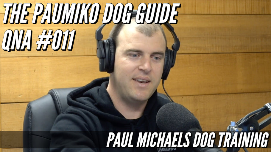 Paumiko Dog Training - QnA #011