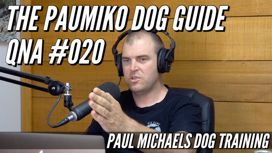 Paumiko Dog Training - QnA #020