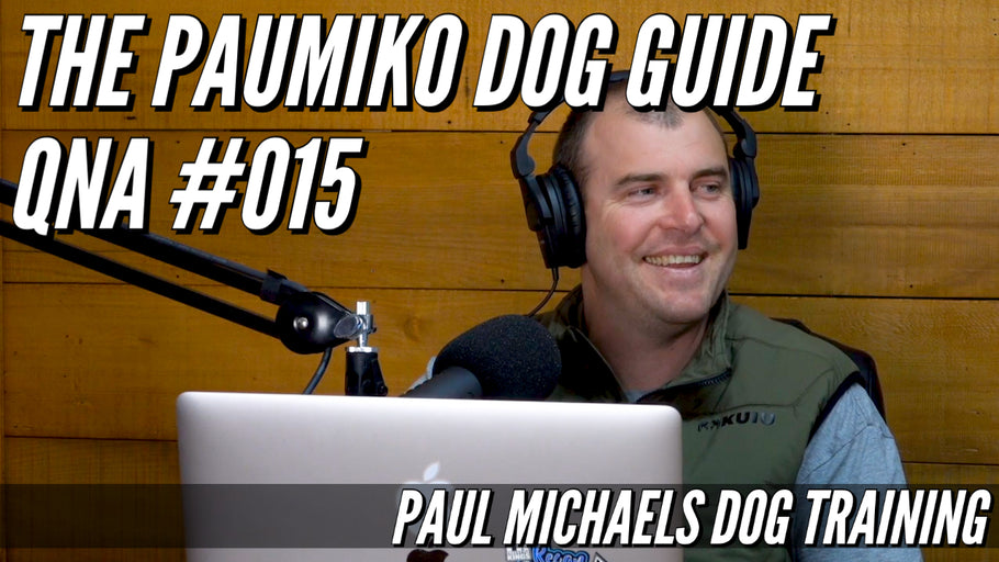 Paumiko Dog Training - QnA #015