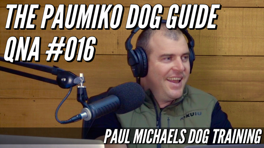 Paumiko Dog Training - QnA #016