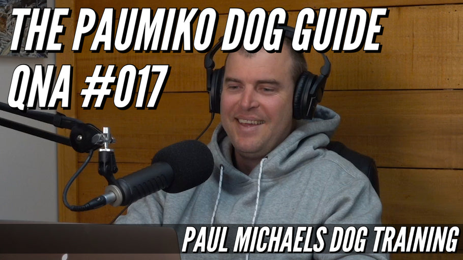 Paumiko Dog Training - QnA #017