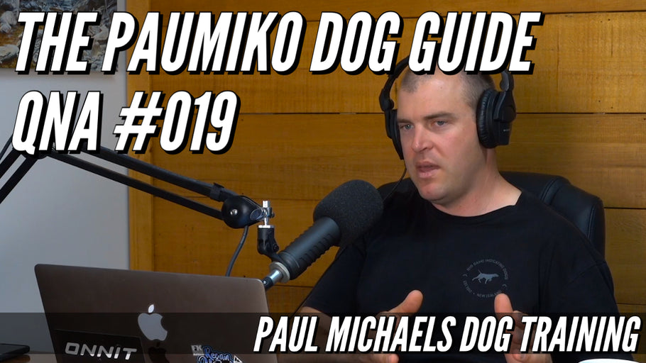 Paumiko Dog Training - QnA #019