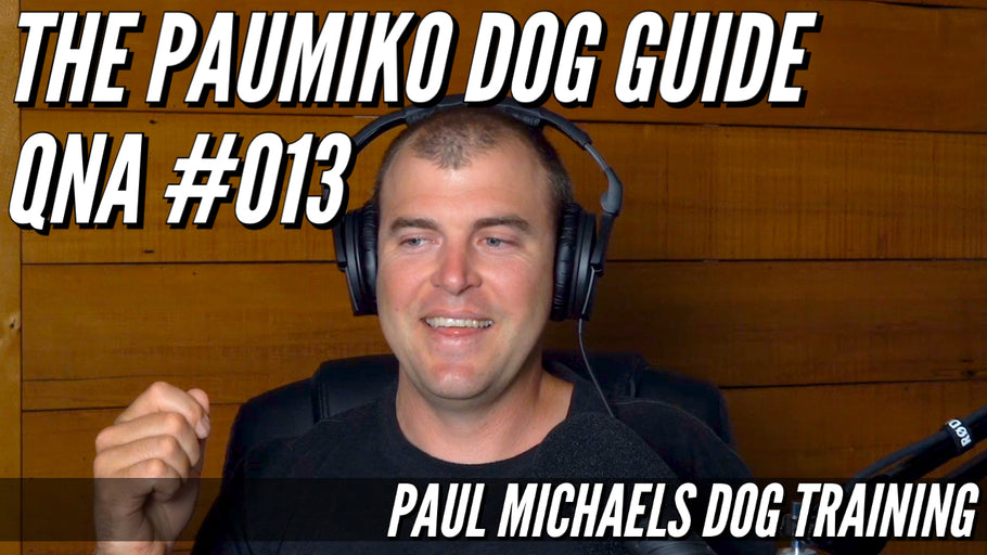 Paumiko Dog Training - QnA #013